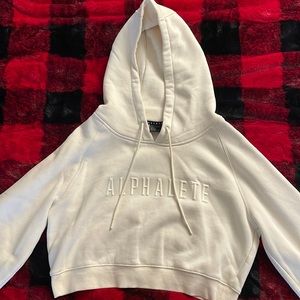 Cropped Alphalete Hoodie